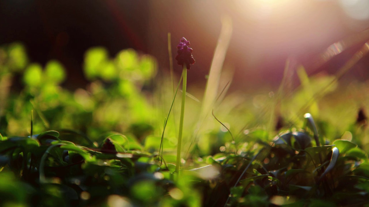 Watch Sunset Moments - One Last Wish (Renaldas Remix) on YouTube