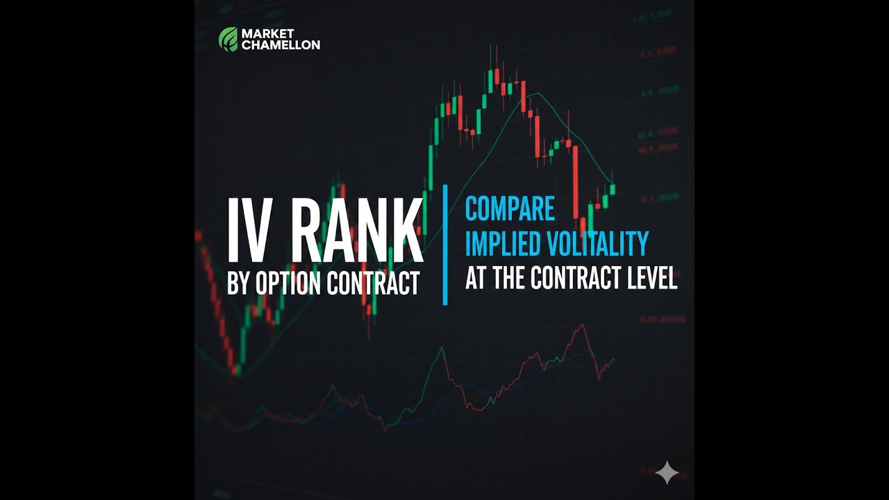 IV Rank by Option Contract Compare Implied Volatility at the Contract ...