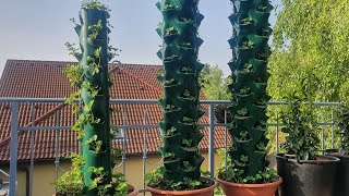 : DIY: Strawberry tower - part 2/2