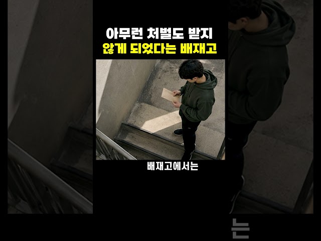 결국 모든 처벌이 사라진 배재고