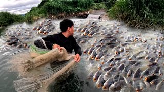 Halos Sakupin Ng Napakaraming Tilapia Ang Ilog Na Ito