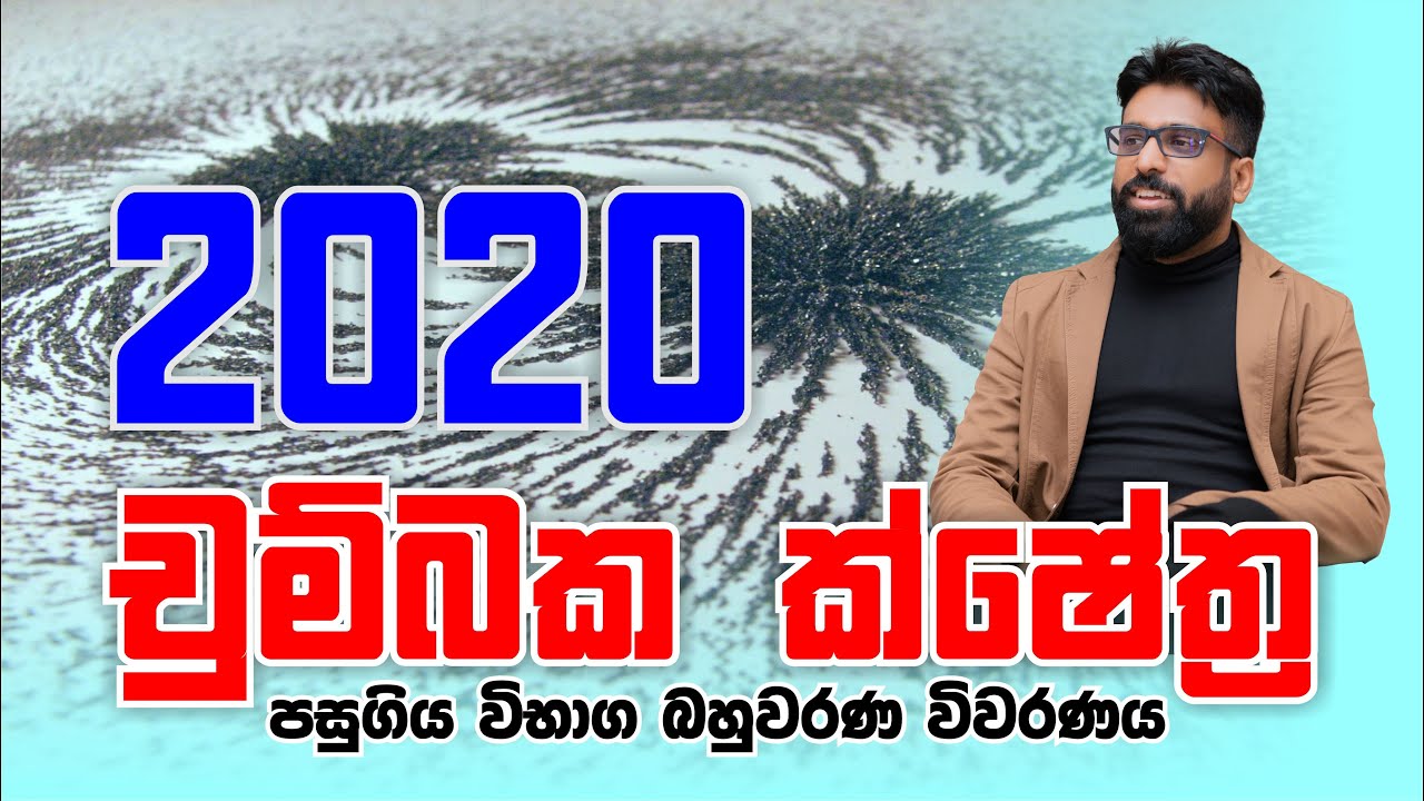 Mahen Jecob | චුම්බක ක්ෂේත්‍ර | Magnetic Fields | 2020 MCQ