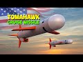 Tomahawk Missile: The Flying Computer That Changed Modern Warfare