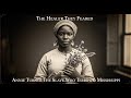 Annie Turner-The Slave Healer Whose Knowledge Shook Mississippi Plantations