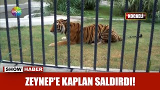 Zeynepe Kaplan Saldırdı