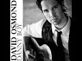 David Osmond - Danny Boy