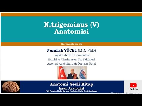 Videó: Mi az a zygomaticotemporalis foramen?