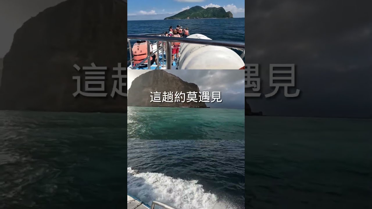 龜山島賞鯨豚記