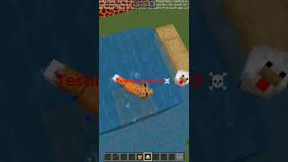 testing animals IQ