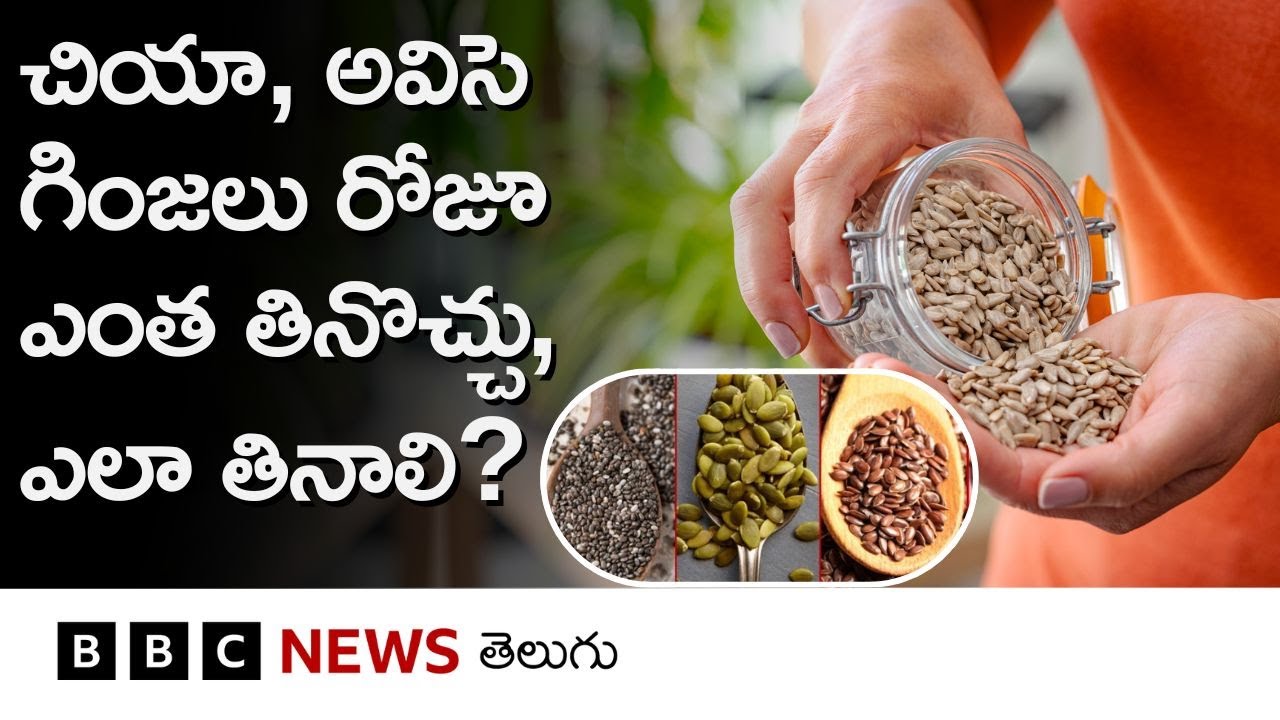 Chia, Flax, Sunflower Seeds లాంటివి రోజూ ఎంత పరిమాణంలో తీసుకోవచ్చు? ఈ 5 గింజల గురించి మీకు తెలుసా?