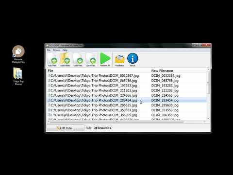 How to use Rename Multiple Files