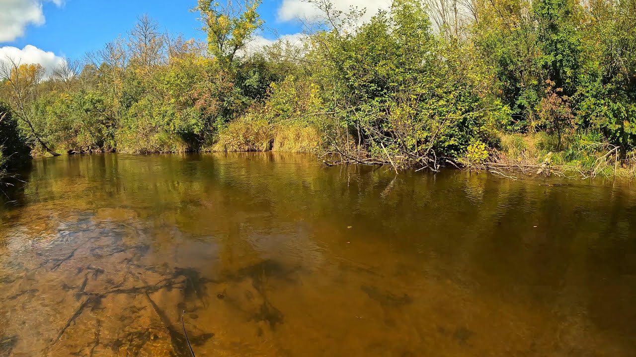 Wisconsin Trout Fishing - 9/26/2022 - Up North!