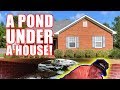 Pond Under a House! : Greg Wittstock, The Pond Guy