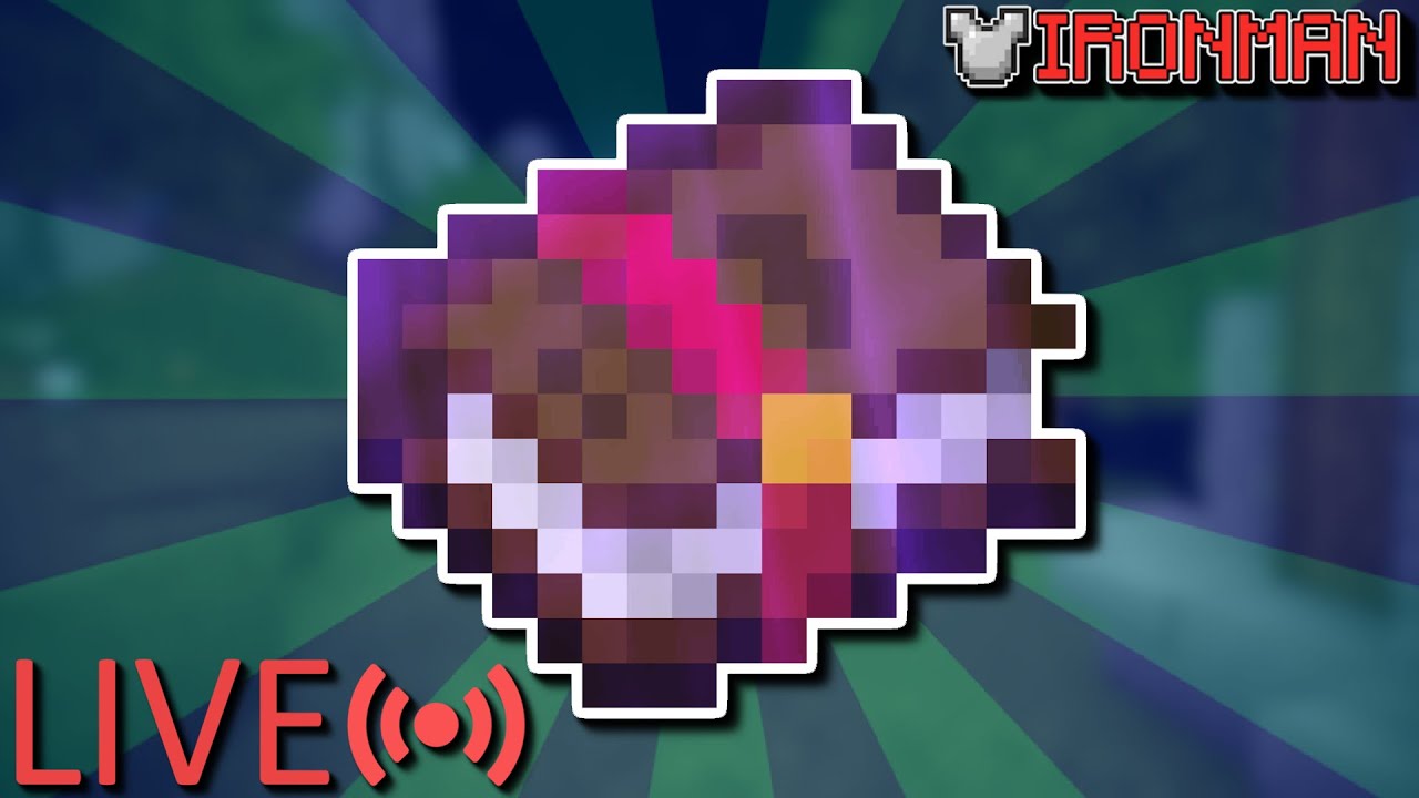 DIANA GRIND - CHIMERA | YOUTUBE RANK | Hypixel Skyblock IRONMAN