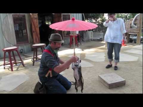 Berkeley Trick Dog Training: Canine Circus Class Level 1 oct 2