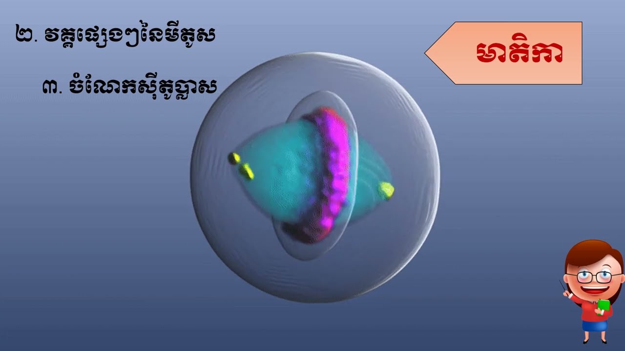 មេរៀនទី៣ ដំណុះដំណាលកោសិកានិងរូបផ្គុំសារពាង្គកាយរស់ #ជីវវិទ្យាថ្នាក់ទី១១