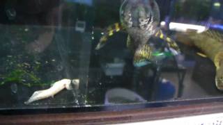 SANY0903.MP4