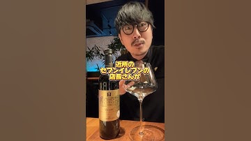 セブイレで即買いした新作【ボルドーメドック】 #shorts #ワイン #wine #セブンイレブン