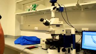 Imager A1 training part 2b illumination