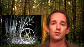 Reptile News: Why dont regulators use Scientific fact?