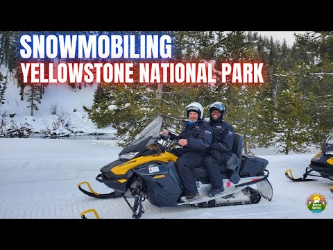 Winter in Yellowstone.....By Snowmobile! |  Yellowstone Snowmobile Tour