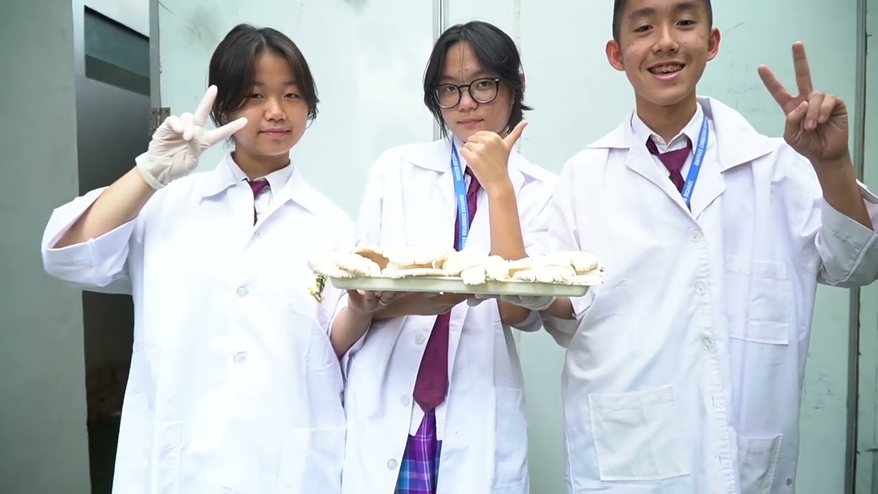 Profile Junior High School Jakarta