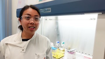 Biomedical Technologies: coupling stem cell and biomaterial approaches to regenerate damaged tissue.