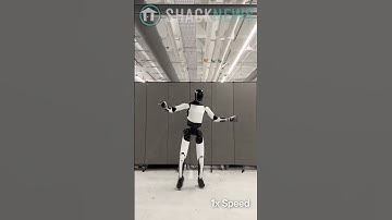 Tesla Optimus Robot