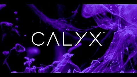 Announcing Calyx - Reliably Solving the Complex.