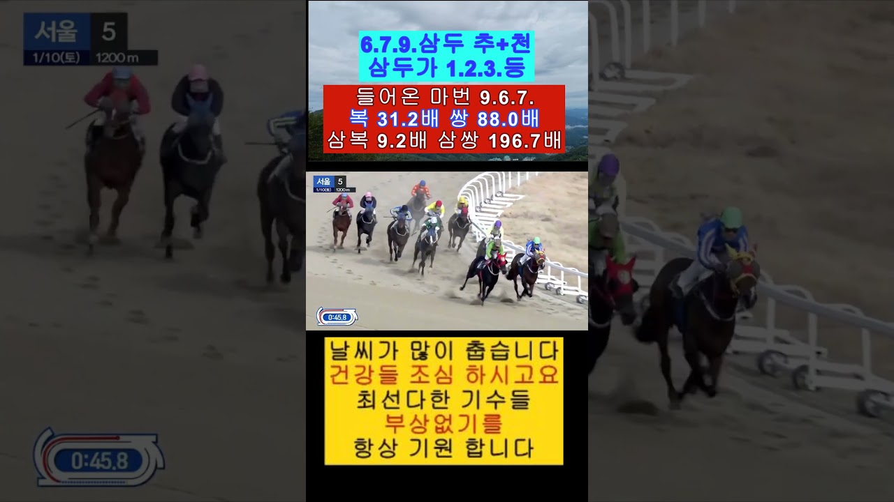 삼두만 추+천 삼쌍 196.7배 삼두가 1.2.3.등 영상보기