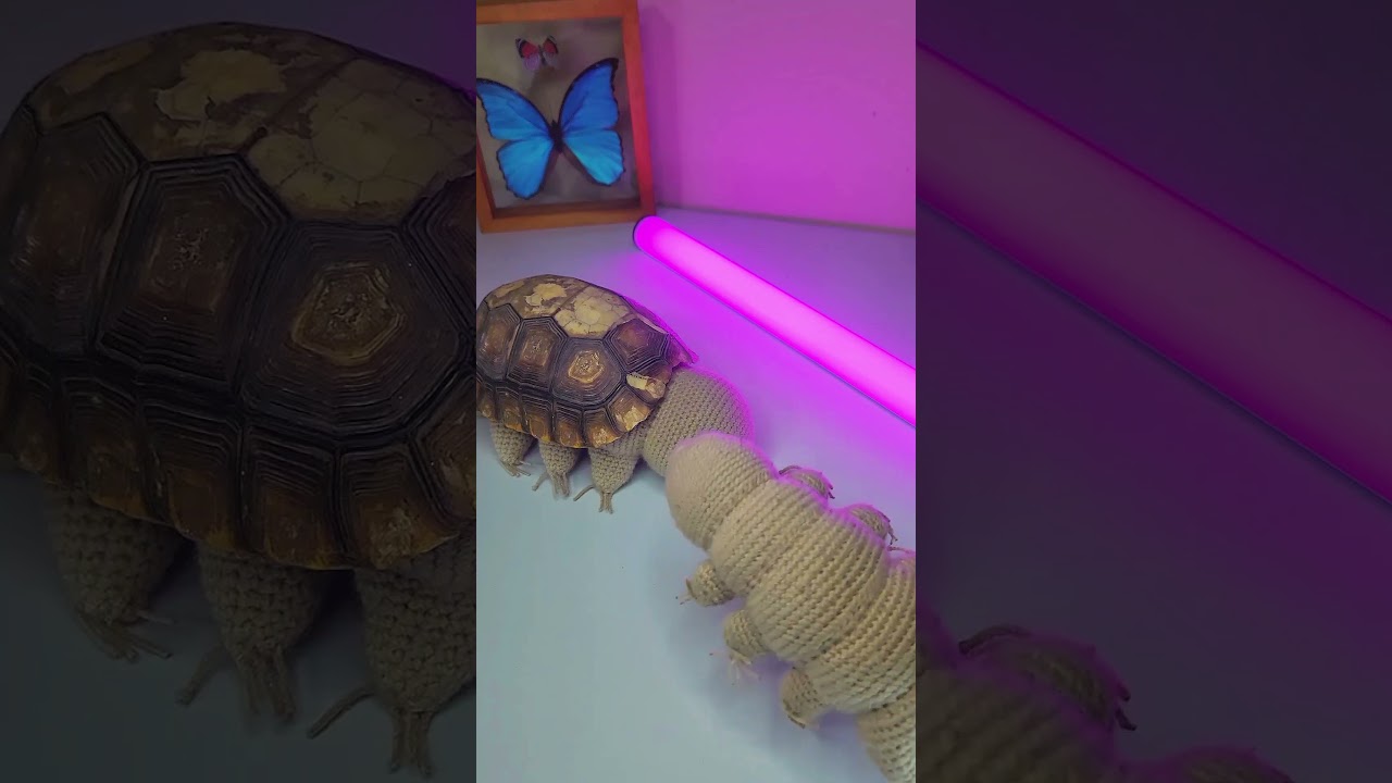 SABÍAS QUE LA COCA-COLA TIENE ÁCIDO FOSFÓRICO