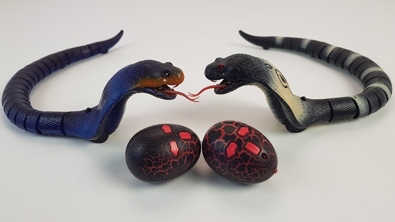 toy snake videos