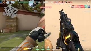 Breach 1v5 Ace Haven