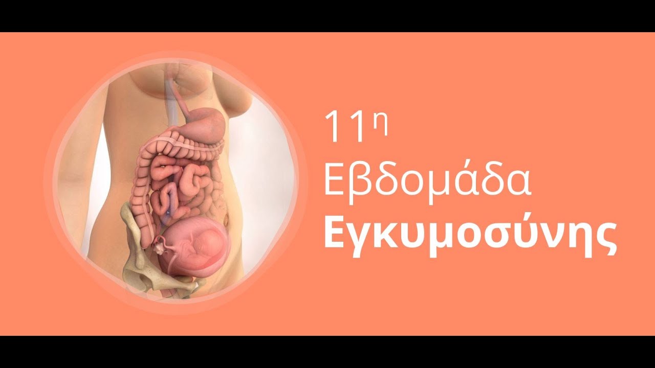 Η εγκυμοσύνη ανά εβδομάδα: 11η Εβδομάδα Εγκυμοσύνης
