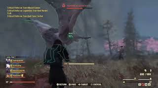 Fallout 76 Scorch Queen vs My bloodied Build