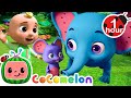 Opposite Friends Song - Fantasy Animals | CoComelon - Animal Time | Nursery Rhymes for Babies