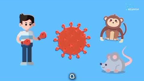 Mandatory Vaccination for Public Health: Between Individual Rights and Communal Responsibility