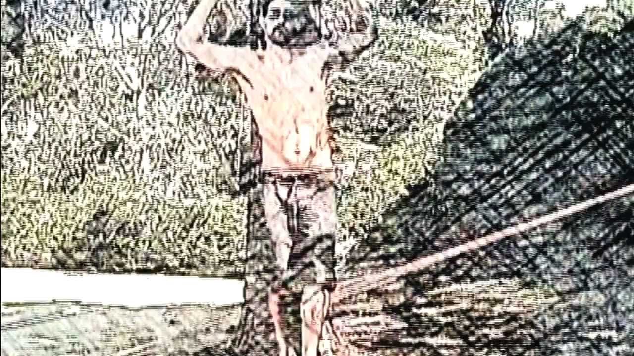 Watch Scracho - Bem-te-vi (Webclipe) on YouTube Watch Scracho - Bem-te-vi (Webclipe) on YouTube