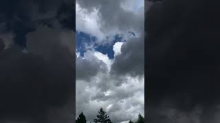 #timelapse - sky over Gribskov forest, Denmark - 20260810 1700