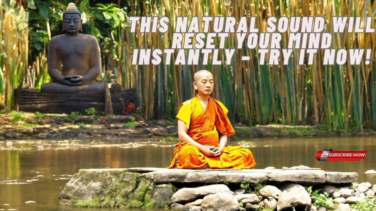 Quick Mind Reset – 5-Minute Guided Meditation for Inner Peace & Focus ...
