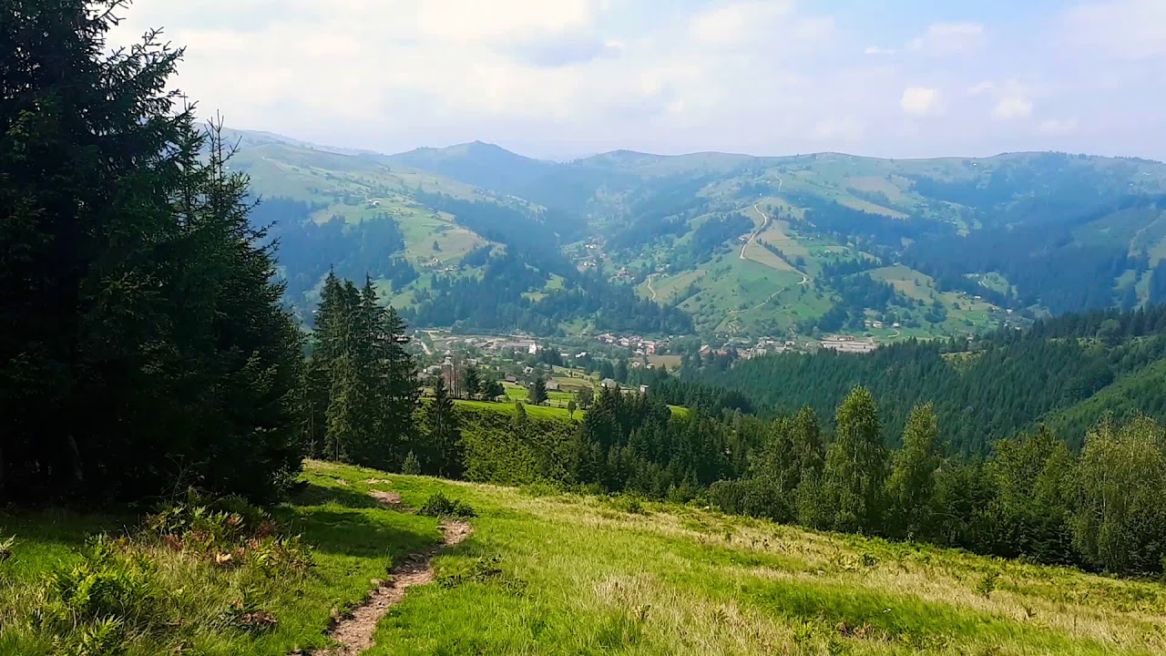 Дихтинець,Ракове