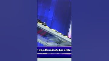 Trí Lực Sánh Đôi | Nhà Ninh Dương Lan Ngọc và S.T song kiếm hợp bích #tlsd