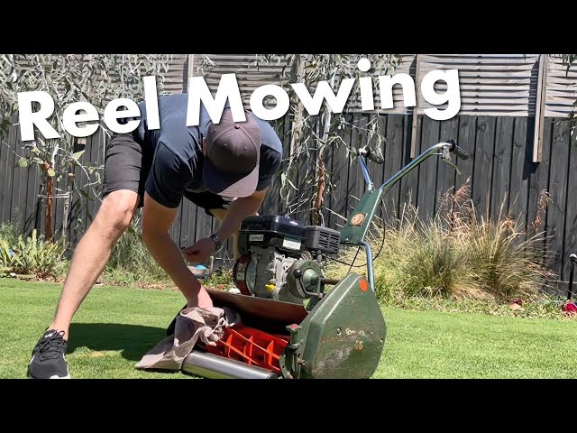 Backyard backlapping how to: sharpen reel on Cylinder Mower/ Scott Bonnar  45/ DIY / cut paper 