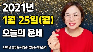 1월 25일(월) 오늘의 운세  종합운•애정운•금전운•행운컬러
