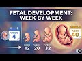 Fetal Development Week by Week Explained | Baby Growth 3D Animation