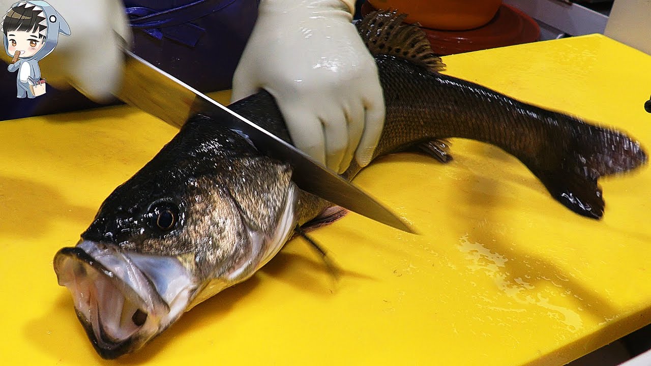 KOREAN STREET FOOD SEA BASS SASHIMI KOREA SEAFOOD MARKET 포항 송도 활어회센터 농어회 270621