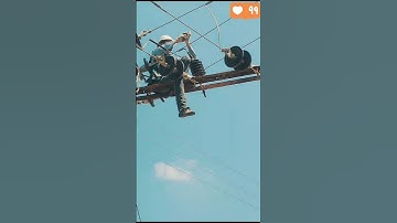 My government job in PGVCL Electricity #pgvcl#elecrical #electricity #11kvline#electricalengineering