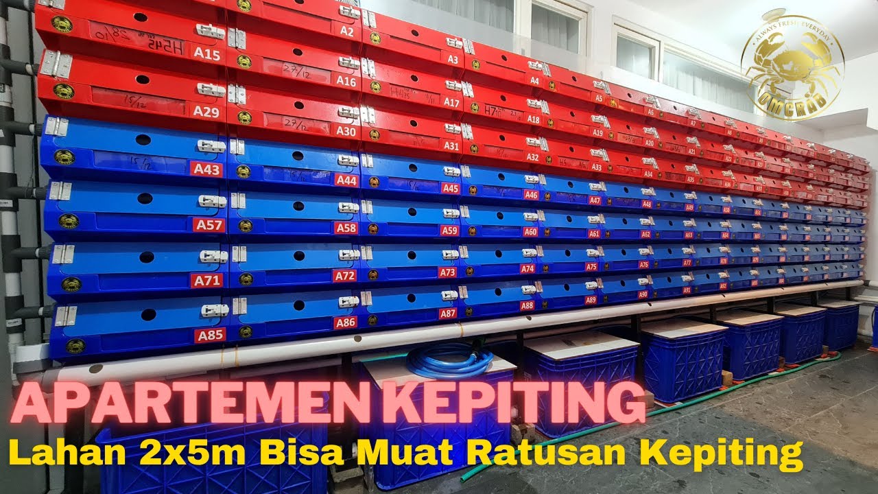 Budidaya Kepiting Bakau Di Rumah Vertical Crab House Di Lahan Sempit