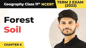 Class 11 Geography Chapter 6 | Forest Soil - Soils