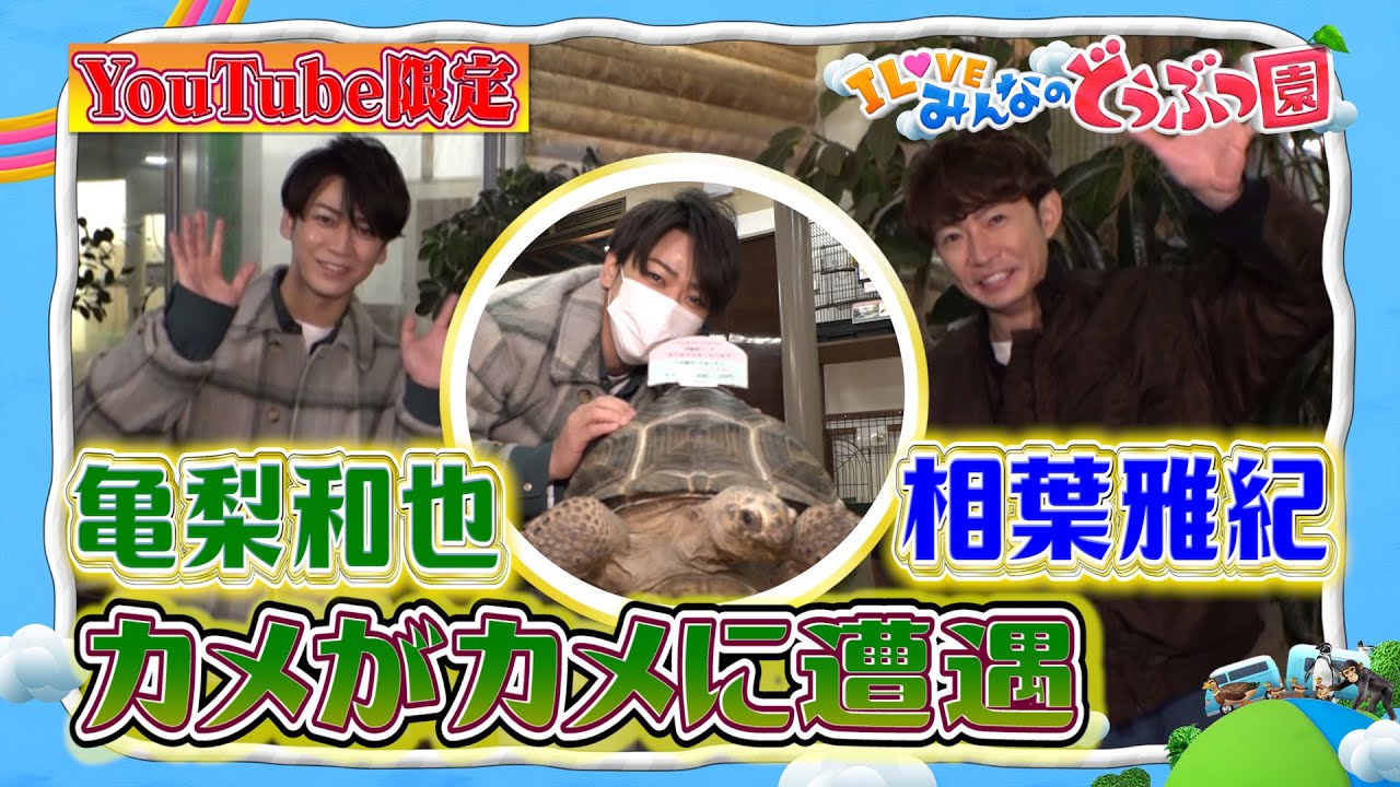 亀梨和也の動画 画像 動画検索 マイルドサイト